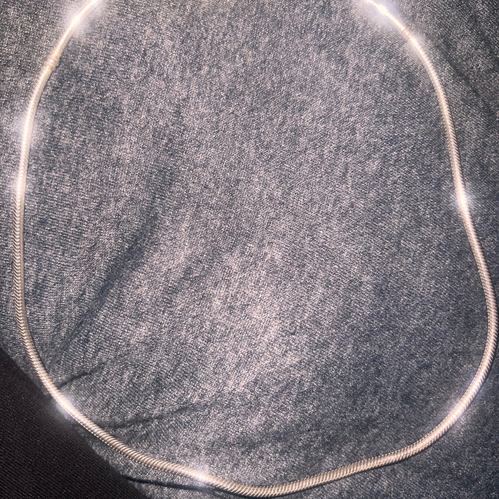 Pandora Shimmering Silver Necklace